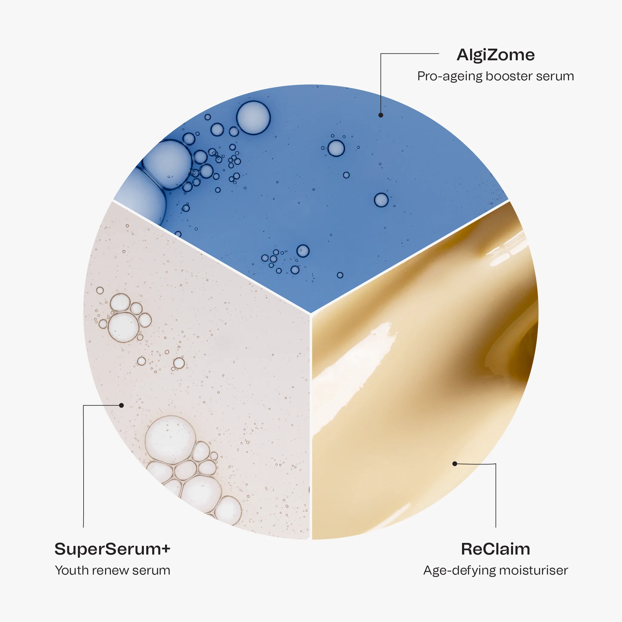 Pie Chart Skin Care