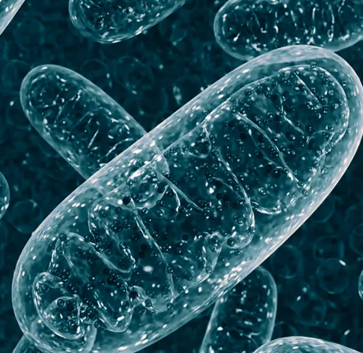 Clean Science